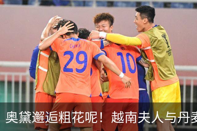 奥黛邂逅粗花呢！越南夫人与丹麦玛丽王后，外交红毯上演东西方美学碰撞